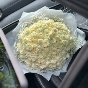 100 ROSES