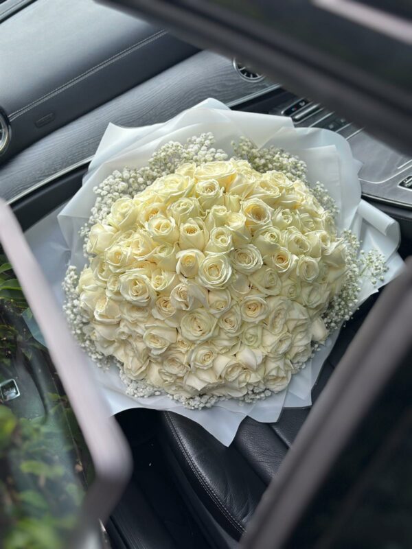 100 ROSES